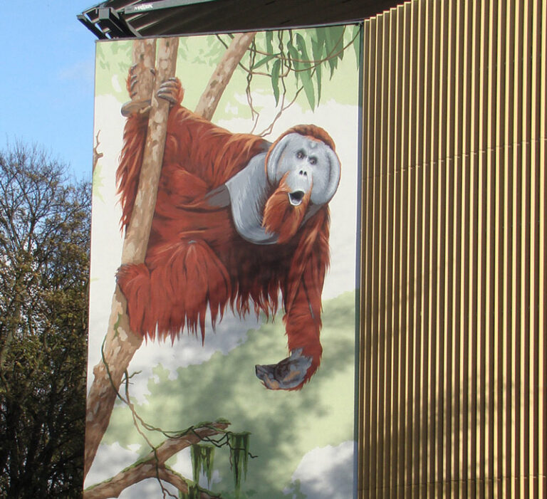 Wandmalerei Orang-Utan-Vater in der August-Bebel-Straße in Rostock. Linke Seite der Fassadenbemalung am Parkhaus am Gericht. Der Vater brüllt. Wer hört, wer erhört ihn?